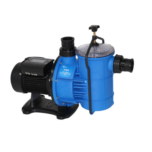 Pump 0.75kw
